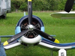 Flugtage 2010